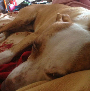 Meet your Posher, Paula